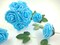25pcs Artificial Flowers Real Looking Foam Roses Decoration DIY